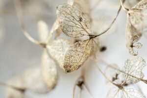 加害者が死亡した場合の法律的な影響はどうなるのか？