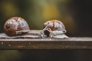 交通事故の示談を早期解決する際のデメリットとは？